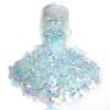 Chunky Glitters voor Lichaam en Gezicht (Parelmoer) (8g)