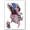 Temporary Tattoo Adelaar Amerika/USA (A5 formaat)