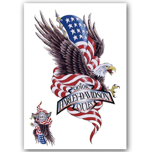 Temporary Tattoo Adelaar Amerika/USA (A5 formaat)