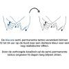 Temporary Tattoo Liefde Pinky Swear (6x6 cm)
