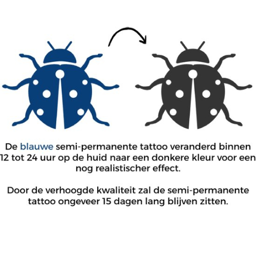 Temporary Tattoo Lieveheersbeestje (6x6 cm)